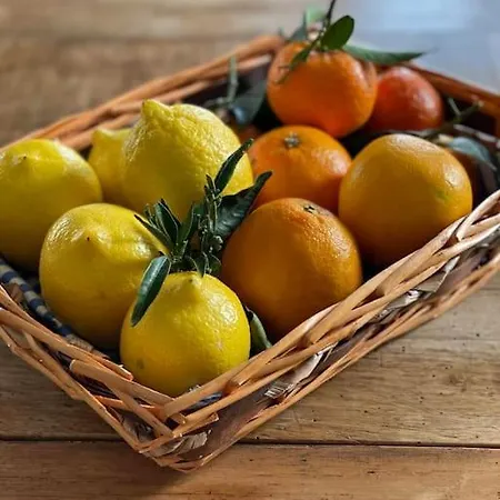 La Dolce Al